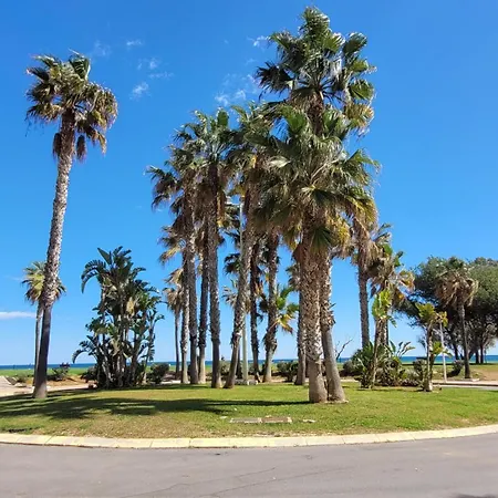 Apartment Mediterraneo Gourmet Oropesa del Mar